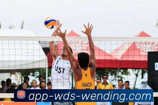 问鼎娱乐app平台生态图